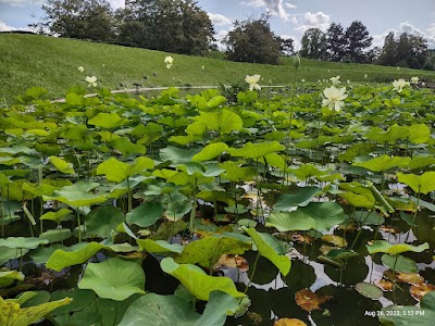 Photo 5 of Parc floral de Paris