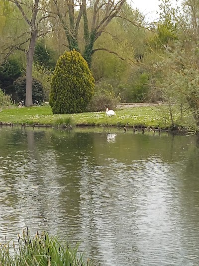 Photo 3 de Les Hortillonnages et Vous
