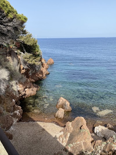 Photo 2 de Île des Vieilles