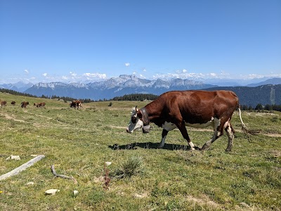 Photo 3 de Semnoz