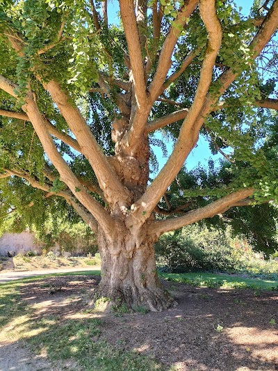 Photo 4 de Jardin des Plantes