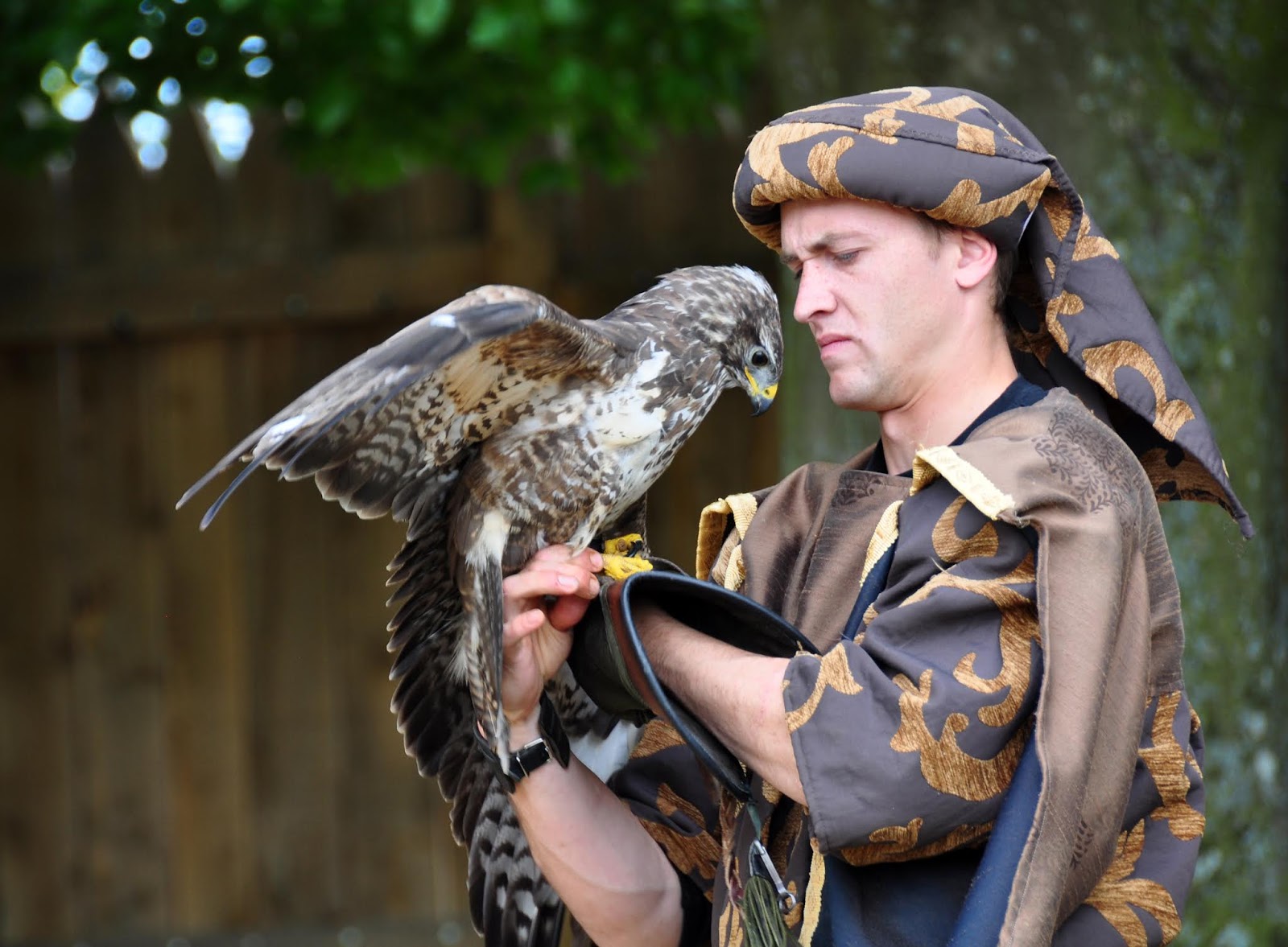 Aigles de Château-Thierry