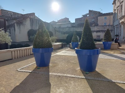 Photo 5 de Jardin du musée du vieux Nimes