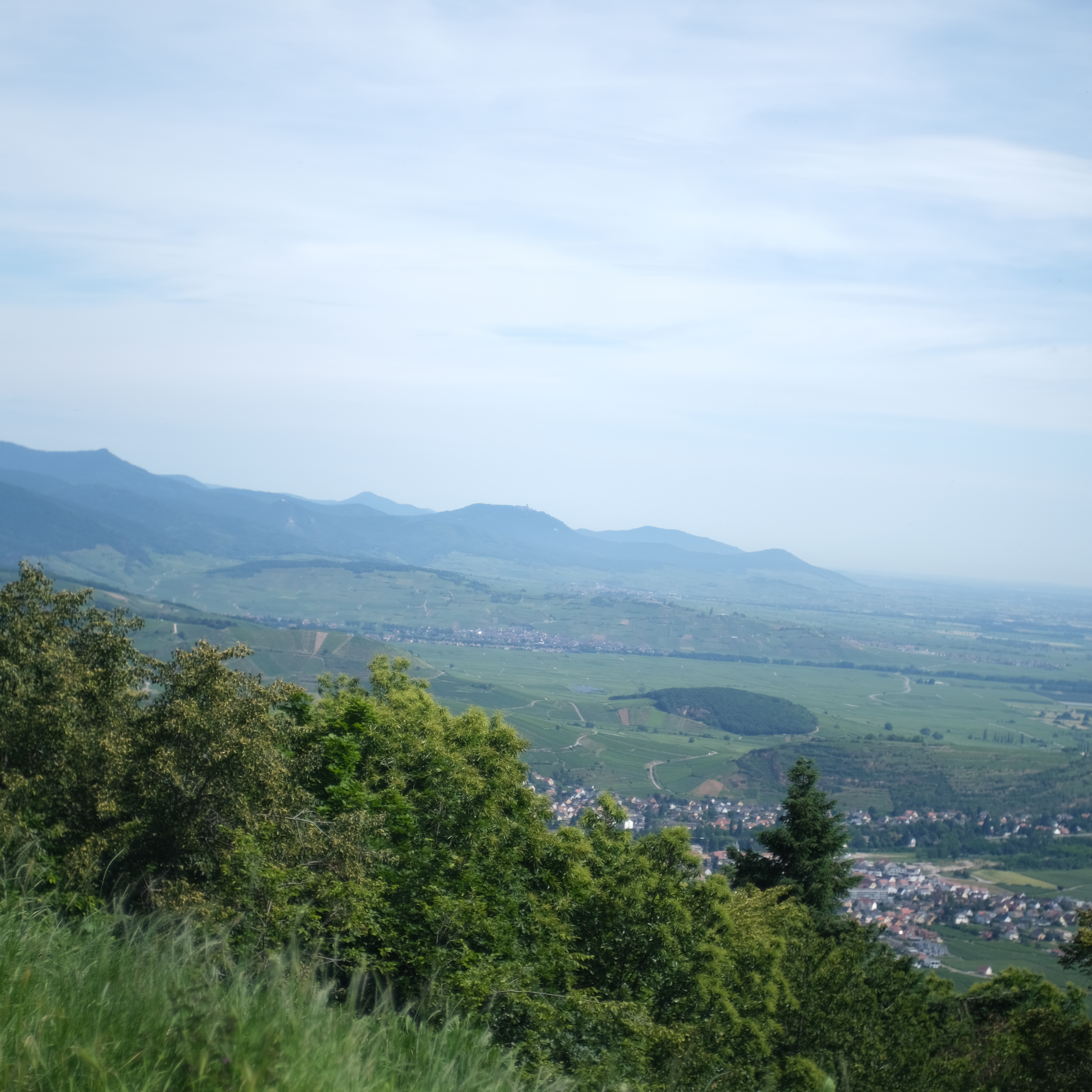 Photo 1 de Château du Hohlandsbourg
