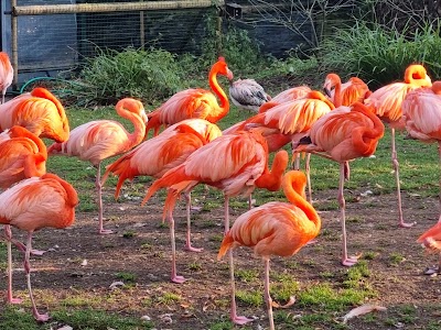 Photo 4 de Ménagerie du Jardin des plantes
