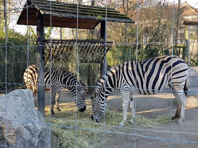 Photo 3 de Zoo d'Amiens Métropole