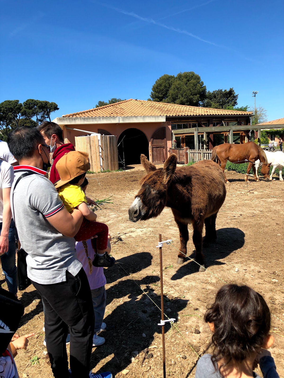 Photo 3 de Ferme Pédagogique Du Roy D'espagne