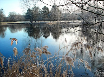 Lac des Prés Saint Jean