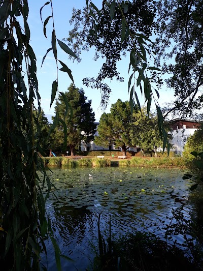 Photo 5 of Étang au Duc