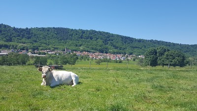 Earl Ludwig - viande bio en vente directe
