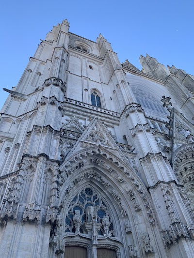 Photo 4 de Cathédrale Saint-Pierre-et-Saint-Paul