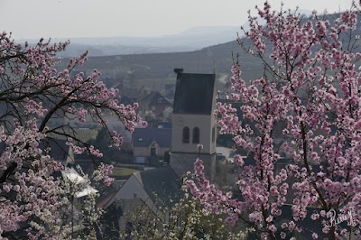 Photo 2 of Mandelberg