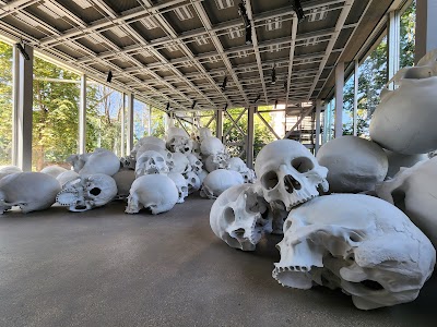 Photo 4 de Cartier Foundation for Contemporary Art