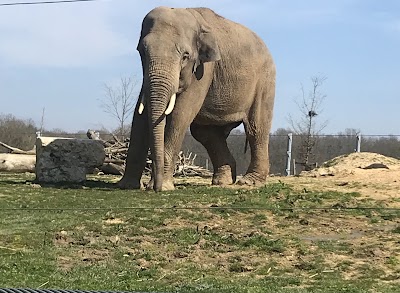 Photo 4 de La Tanière - Zoo refuge