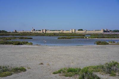Photo 5 de Salin d’Aigues-Mortes
