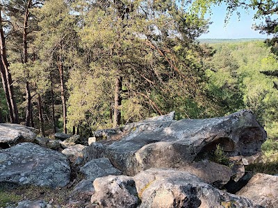 Photo 2 de Forêt de Rambouillet