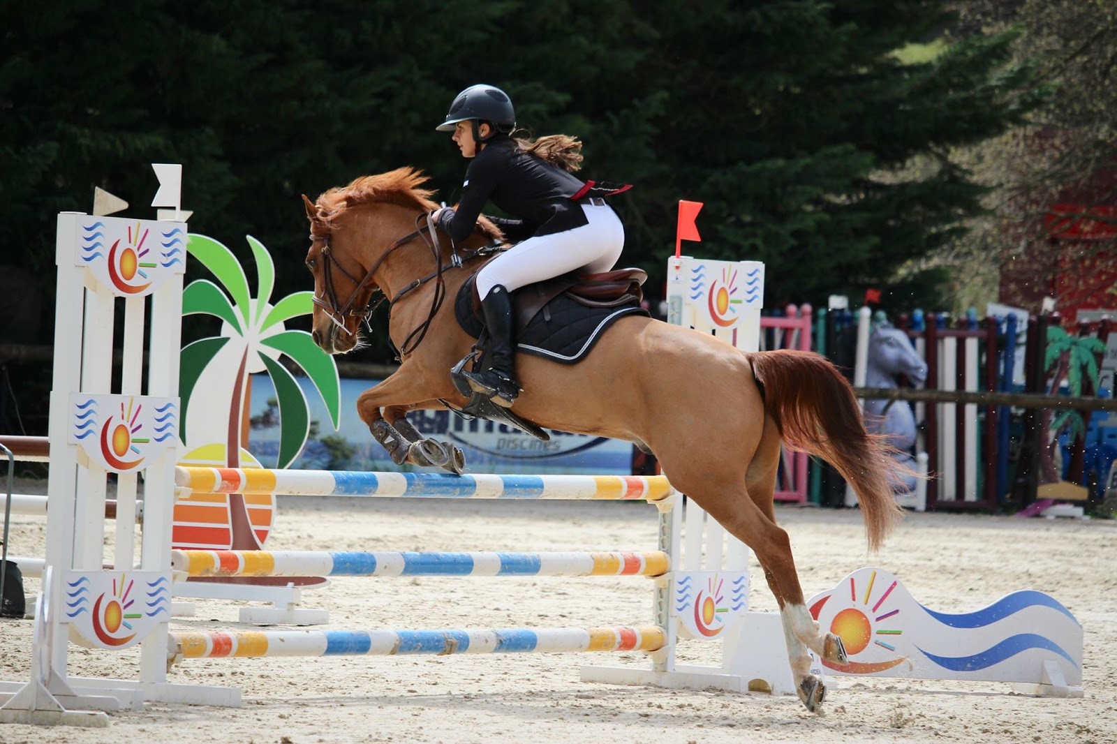 Photo 3 of Centre Équestre Cannes : Club Hippique de Grasse