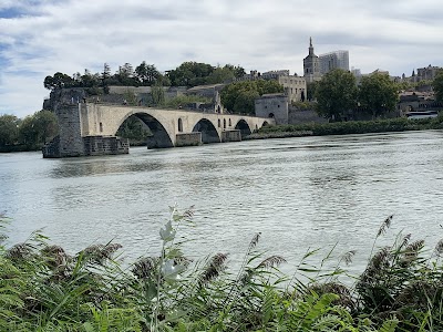 Pont d'Avignon