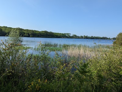 Photo 2 de Étang de Péronne