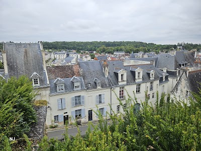 Photo 2 de Château de Loches