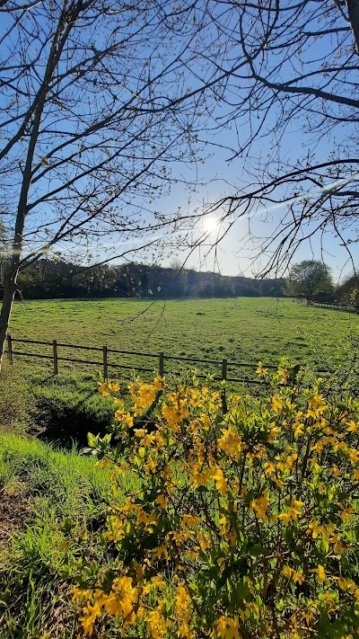 Photo 5 of Les Bords de l'Yerres