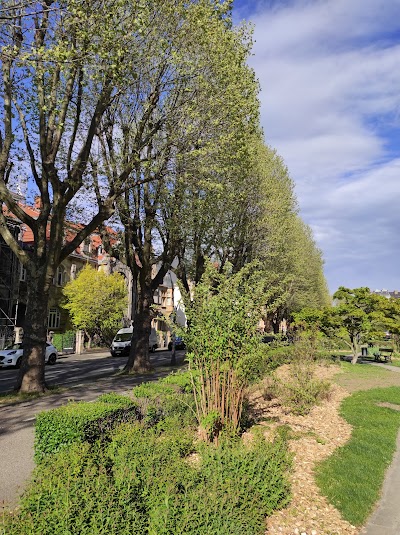 Photo 4 de Avenue Foch