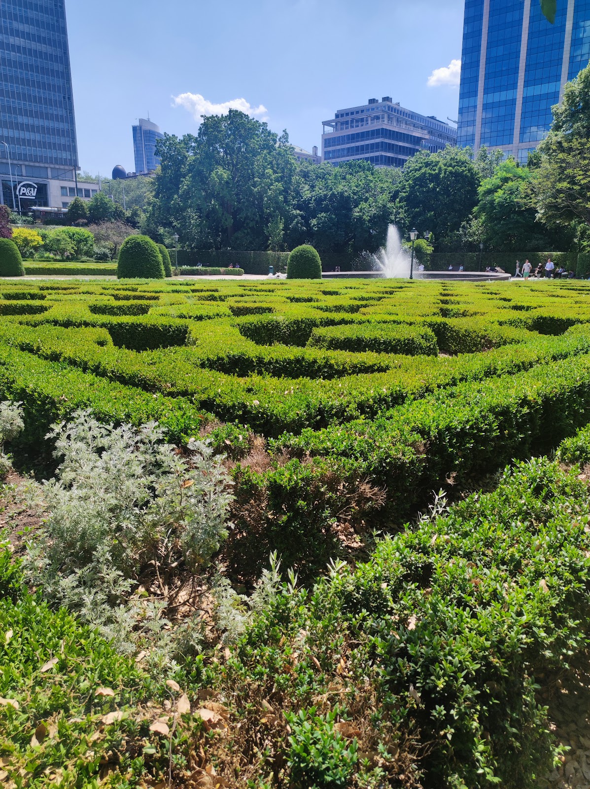 Botanique