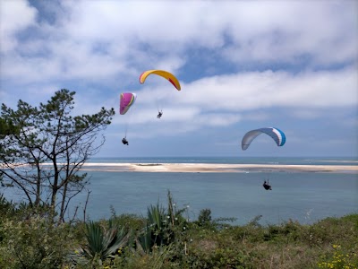 Photo 2 de Dune de Pilat