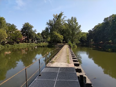 Photo 5 de Skatepark Ponts Jumeaux