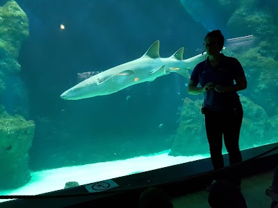 Photo 4 de Aquarium of Lyon 🐟🐠🎏