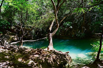 Photo 2 of Cascade de Sillans