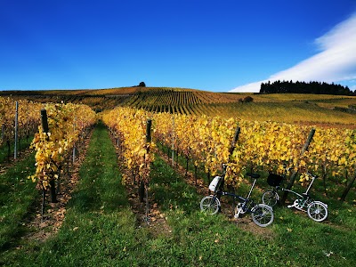 Photo 3 de Walbach