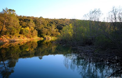 Photo 3 of Lac de Carcès