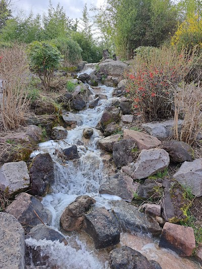 Photo 5 de Jardin japonais