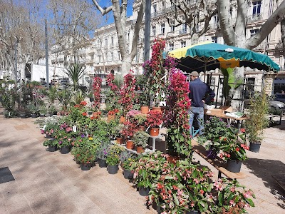 Photo 3 de Marche aux fleurs du vendredi