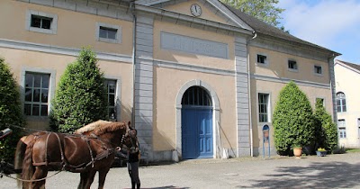 Photo 3 de Haras de Tarbes