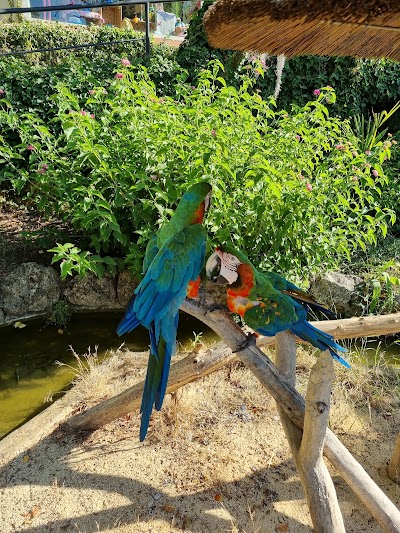 Photo 3 of ZOA Parc