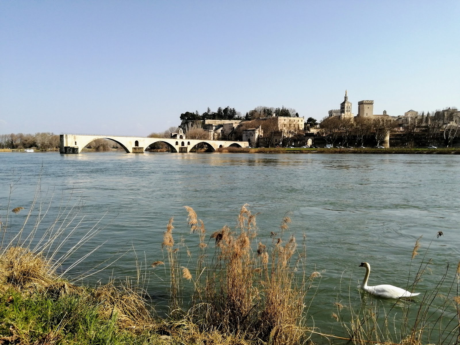 Île de la Barthelasse