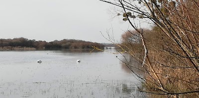 Photo 2 de Lac de Grand-Lieu