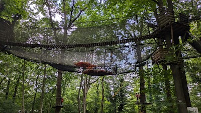Photo 2 de Sherwood Parc