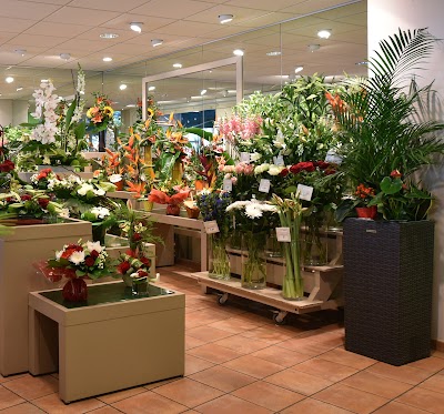 Photo 4 de Le Jardin des Fleurs
