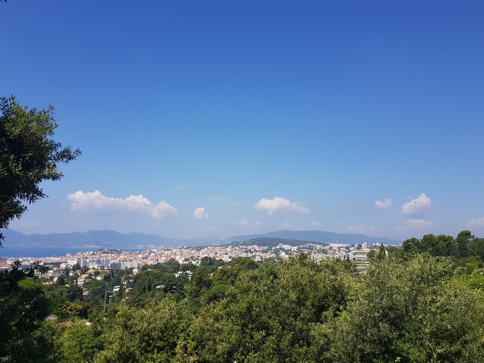 Photo 5 de Villa Domergue
