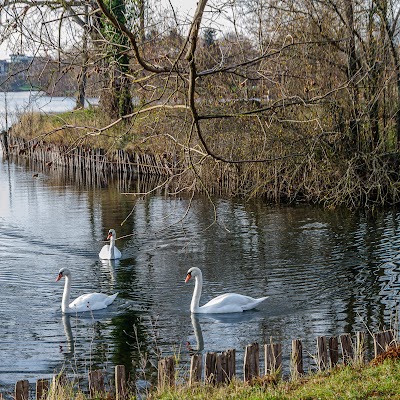 Photo 5 of Lac de la Bergeonnerie