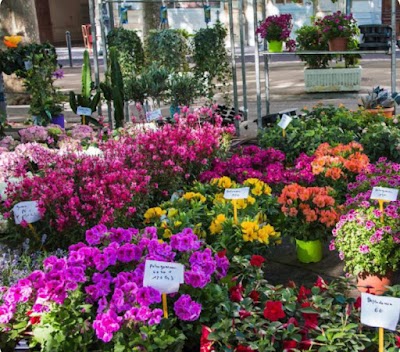 Marche aux fleurs du vendredi