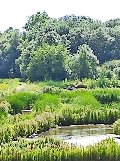 Photo 4 de Bois de Florimond