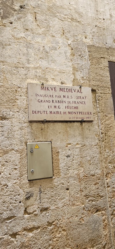 Photo 4 de Mikvé Médiéval - Ancienne Synagogue médiévale
