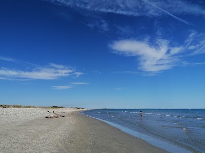 Photo 3 de Plage des Aresquiers