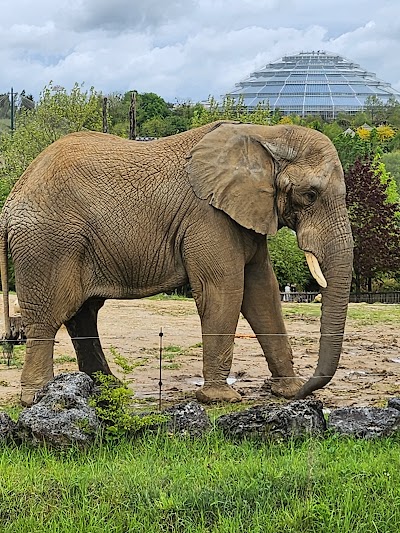 Photo 3 de Zoo de Beauval