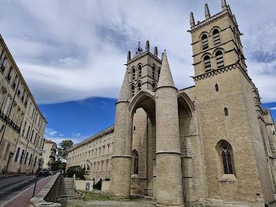 Cathédrale Saint-Pierre