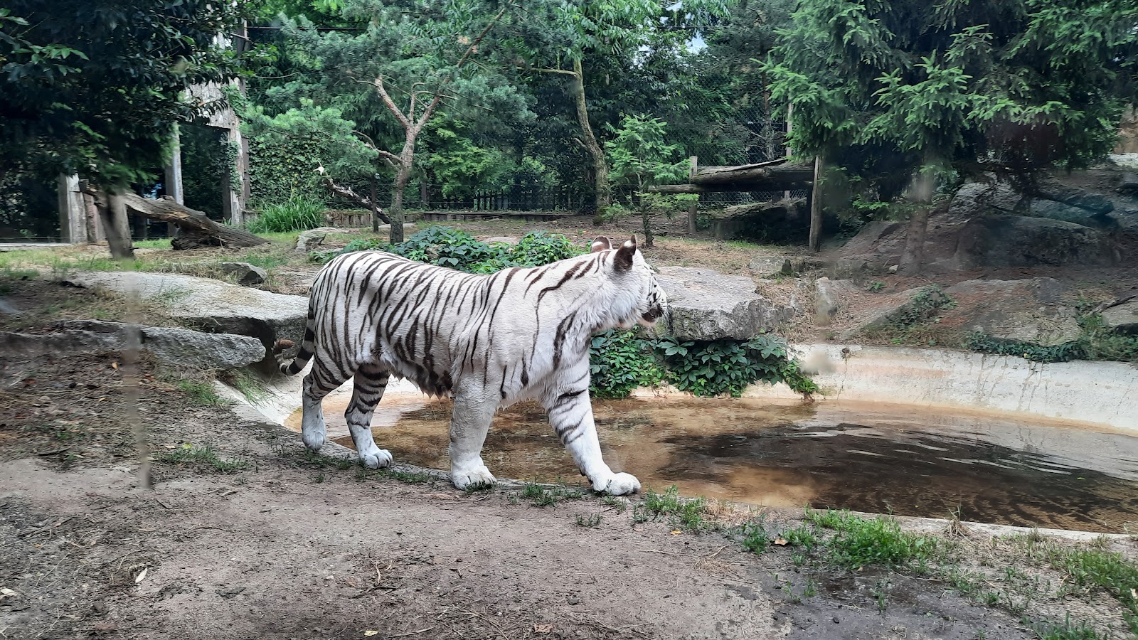 Photo 5 de Zoo d'Amnéville